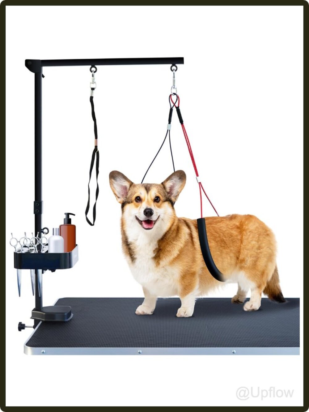 Adjustable Pet Grooming Arm with Clamp and No Sit Haunch Holder for Dogs